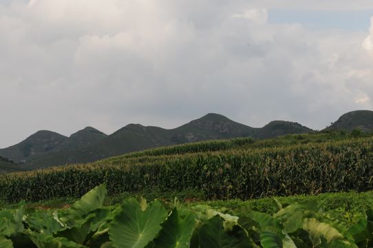 海雲寨村