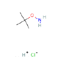 O-叔丁基羥胺鹽酸鹽