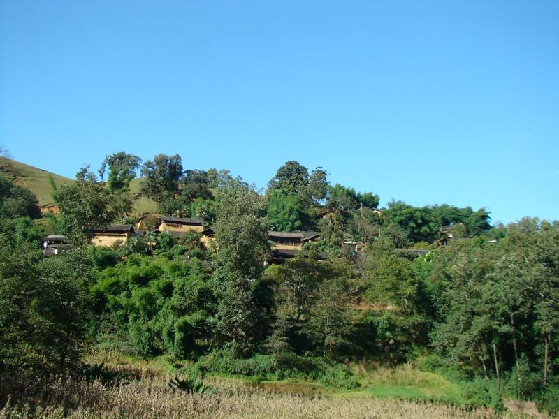 秧草村(雲南保山市隆陽區瓦馬鄉下轄村)