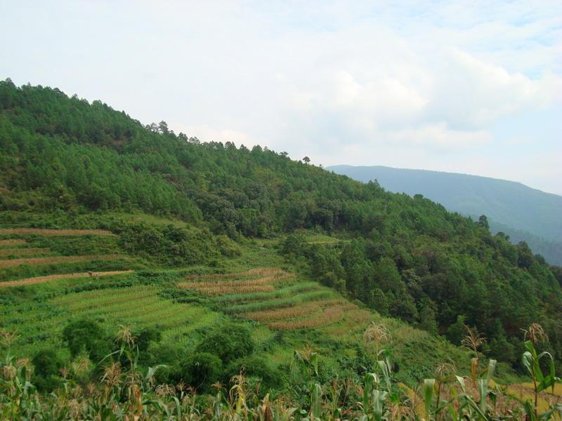 者力大平掌村