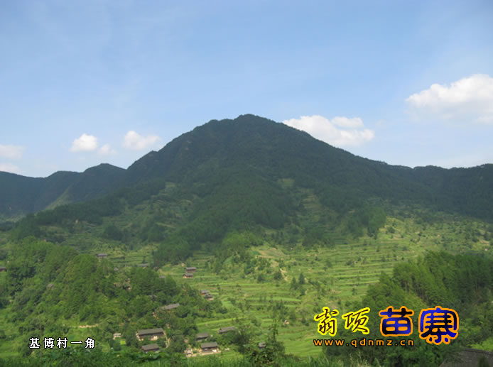 圖1 翁項雲霧山