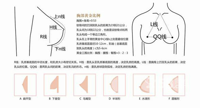 胸指數