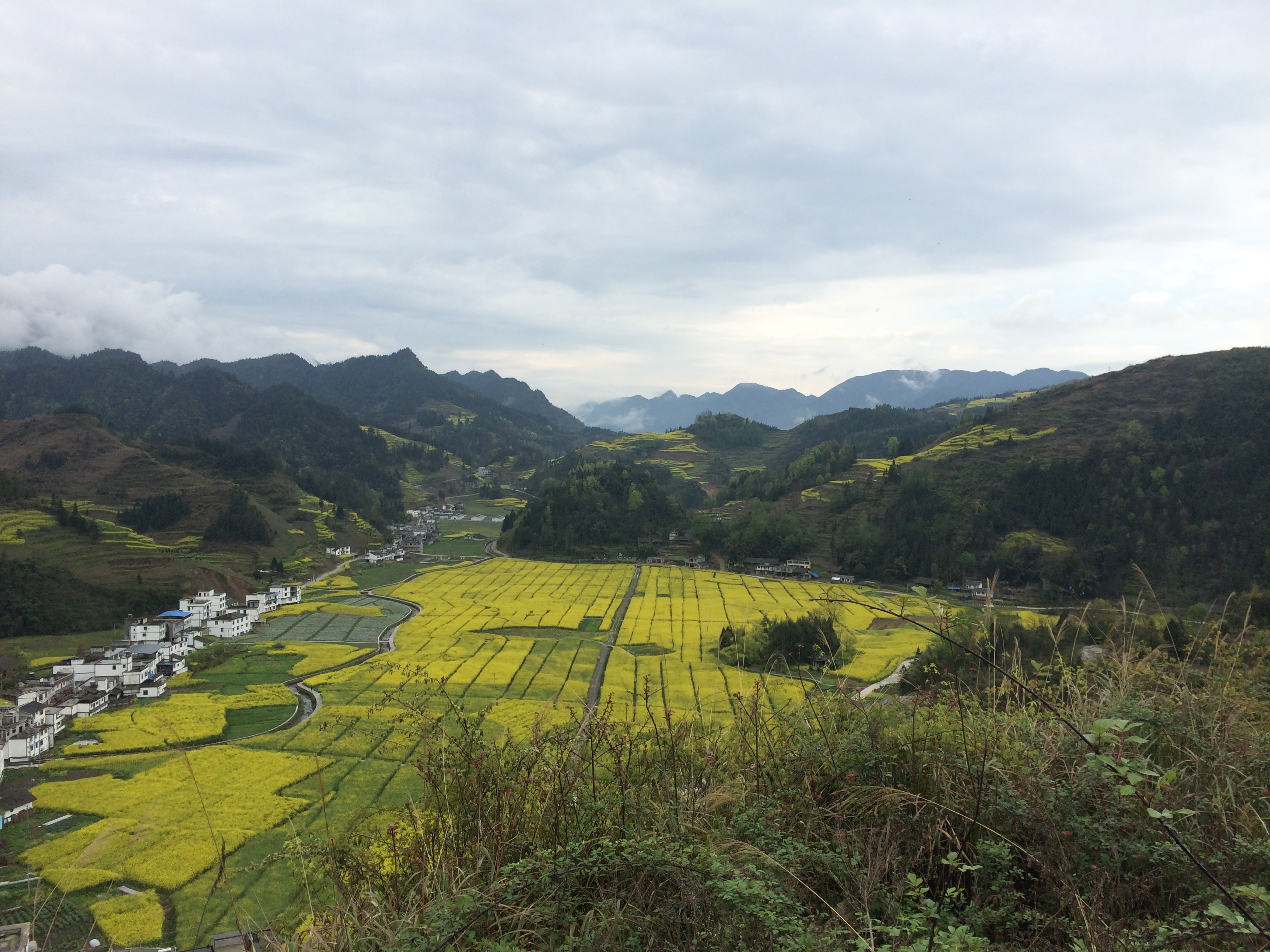 屵山