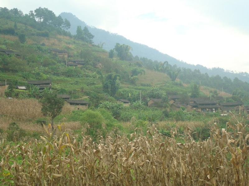 中平掌村