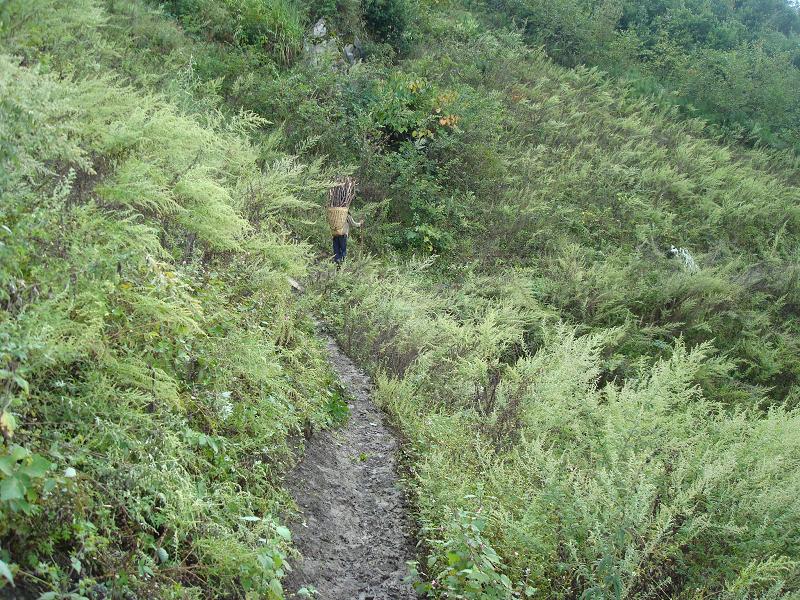 含打村村內道路