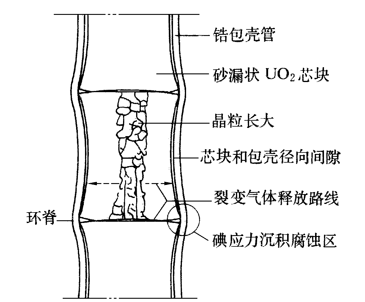 圖 燃料棒中芯塊與包殼相互作用