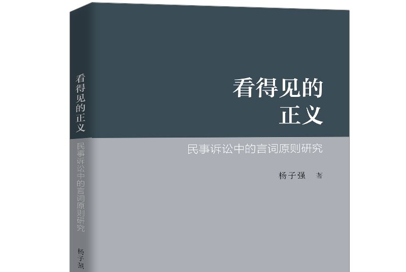 看得見的正義——民事訴訟中的言詞原則研究