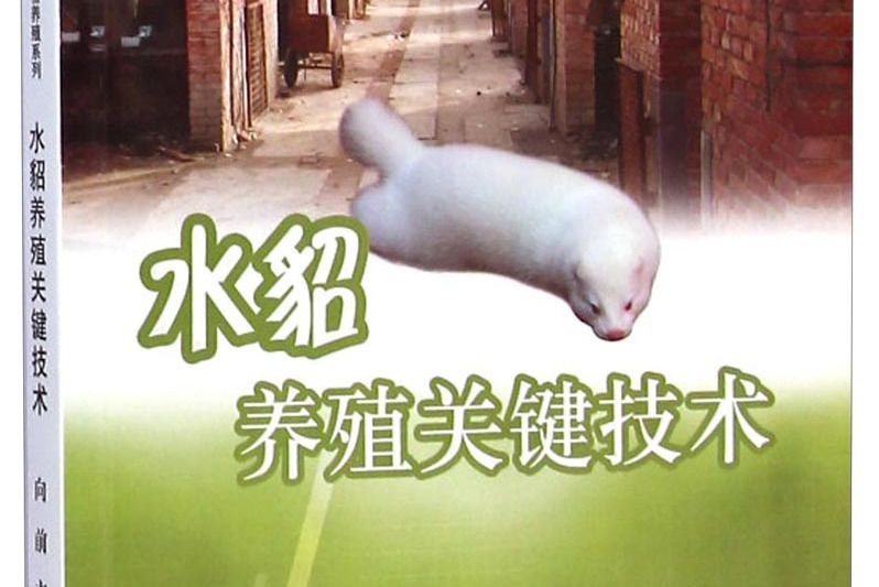 強農惠農工程·特種動物養殖系列：水貂養殖關鍵技術