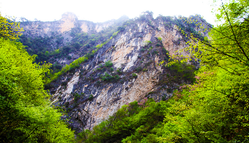 新開嶺西部山地地貌