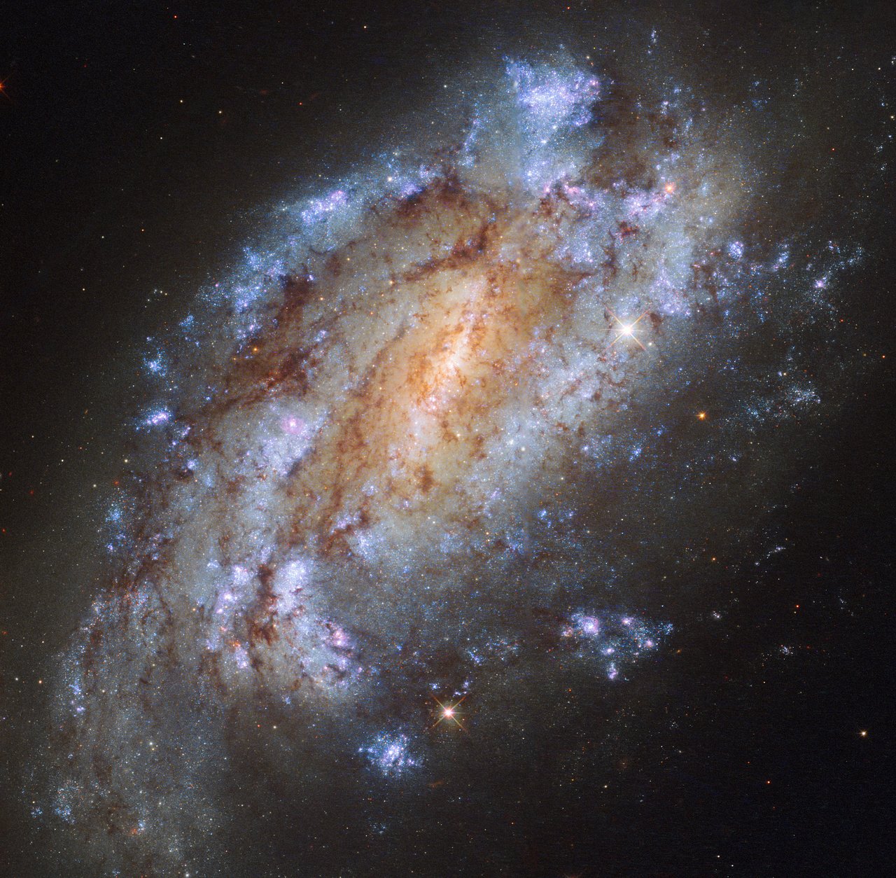 NGC 1559