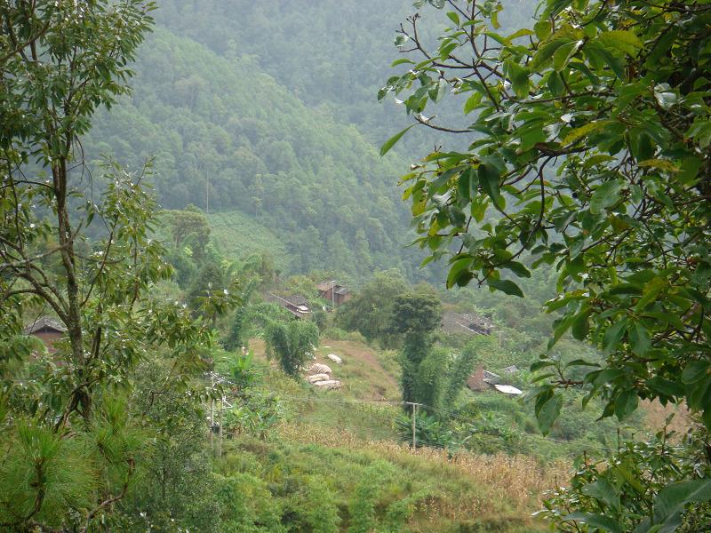 新龍村(雲南武定縣白路鄉下轄村)