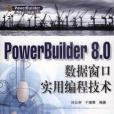 PowerBuilder 8.0 數據視窗實用編程技術