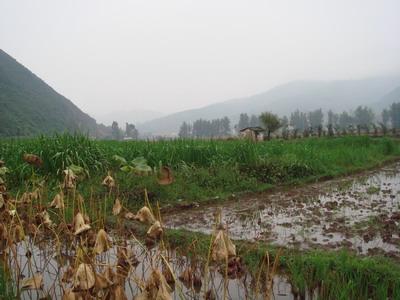 練甸村