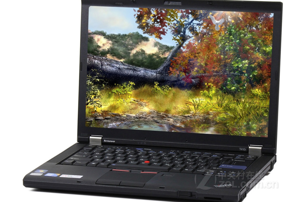 ThinkPad T410i(2518B91)