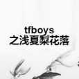 tfboys之淺夏梨花落