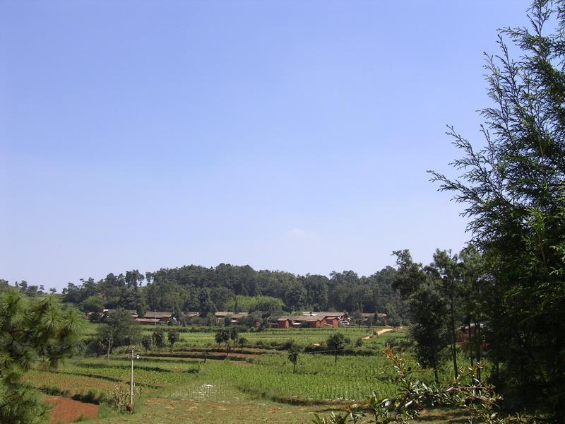 大丫口村(雲南省尋甸縣河口鄉下轄村)