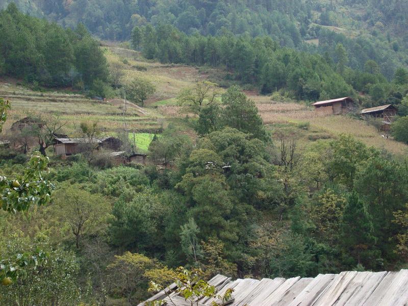 木知木山自然村