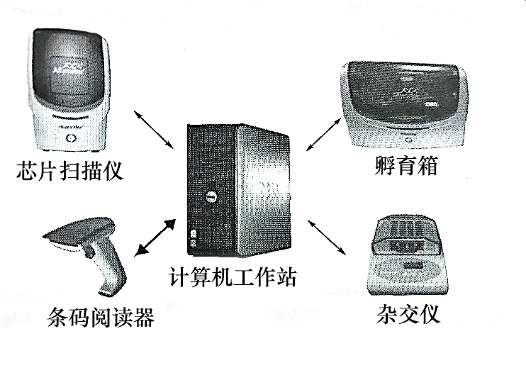 生物晶片檢測系統