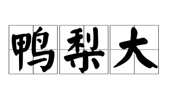 鴨梨大(漢語詞語)