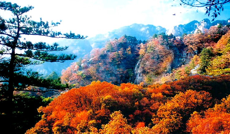 白雲山國家森林公園