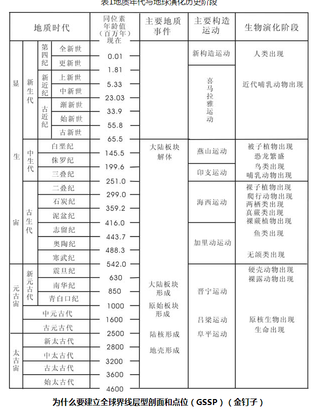 碰沖金釘子