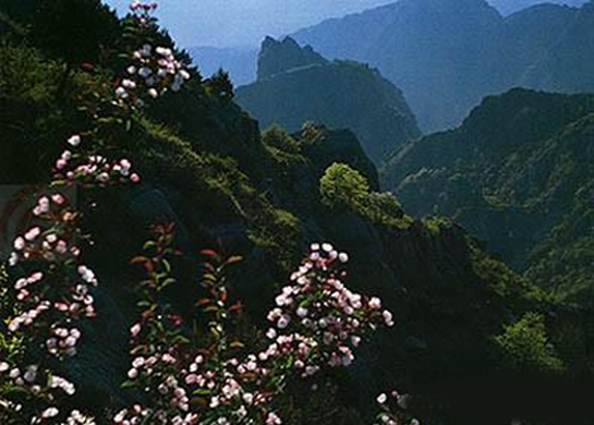 玉女山