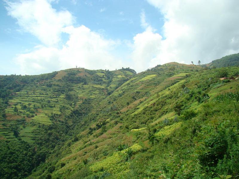 豆面塔村