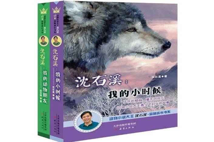 動物小說大沈石溪品味成長書系