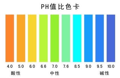 體質酸鹼性