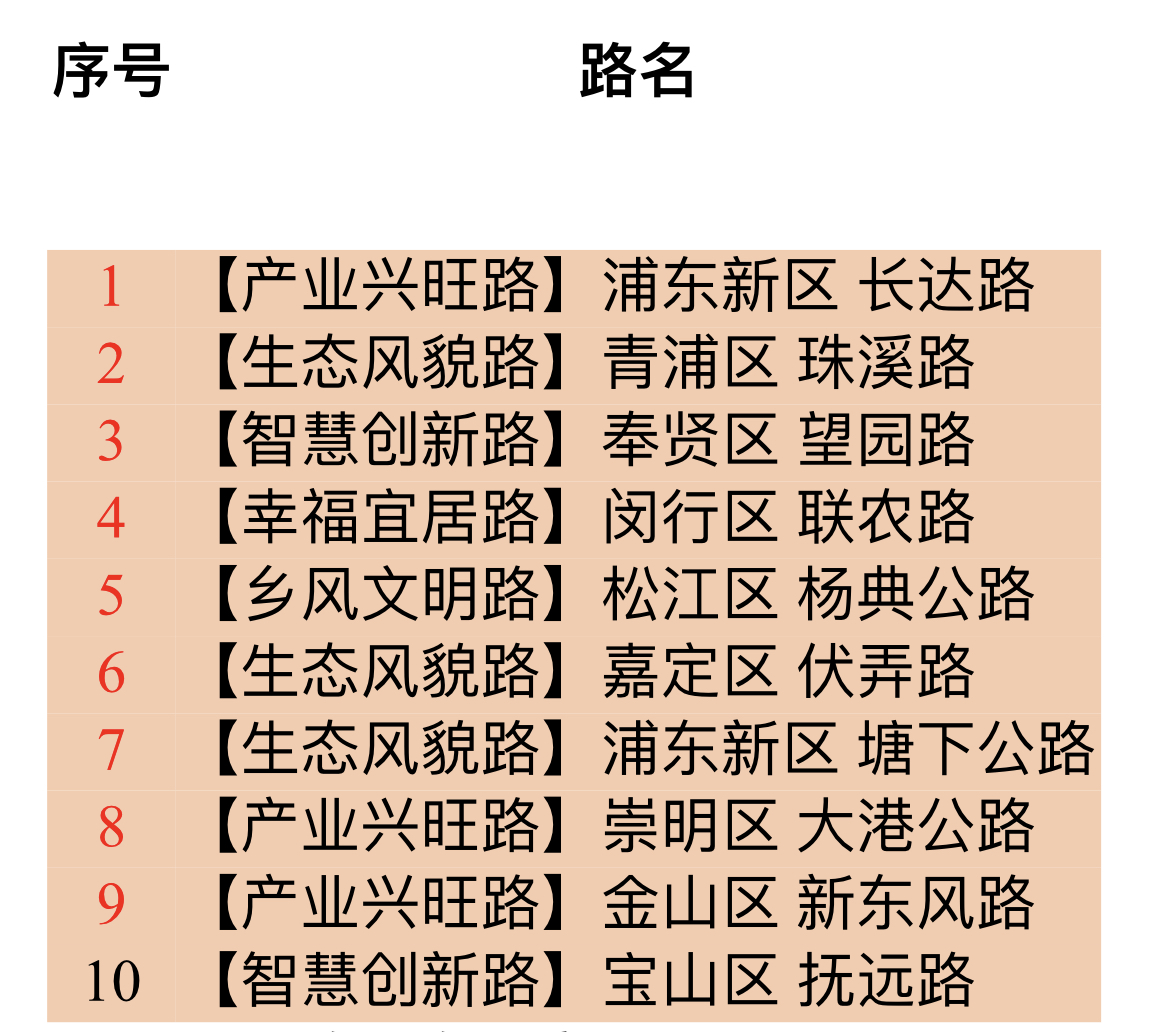 2022年度上海市十大最美農村路