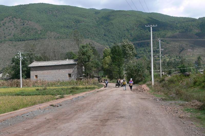 南河東村(雲南省大理州鶴慶縣金墩鄉下轄村)