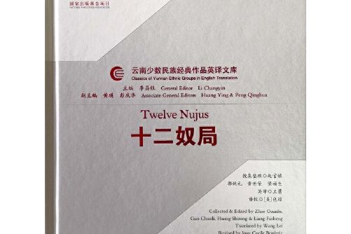 十二奴局(2018年雲南人民出版社出版的圖書)