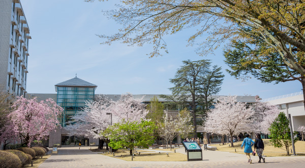 東京女子大學(日本東京女子大學)