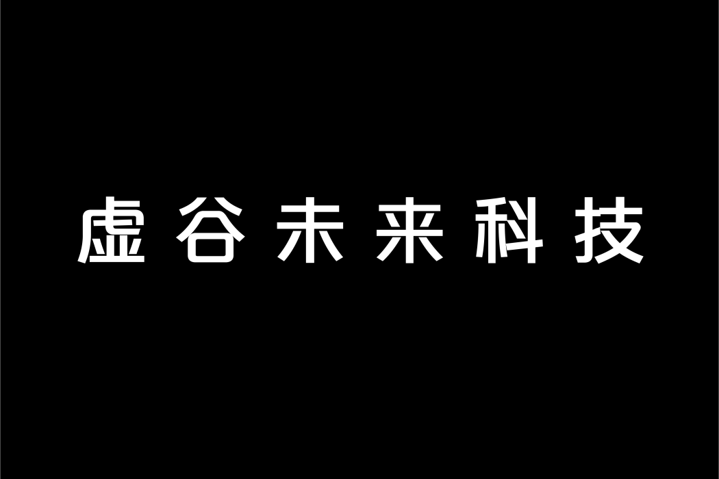 虛谷未來科技（北京）有限公司