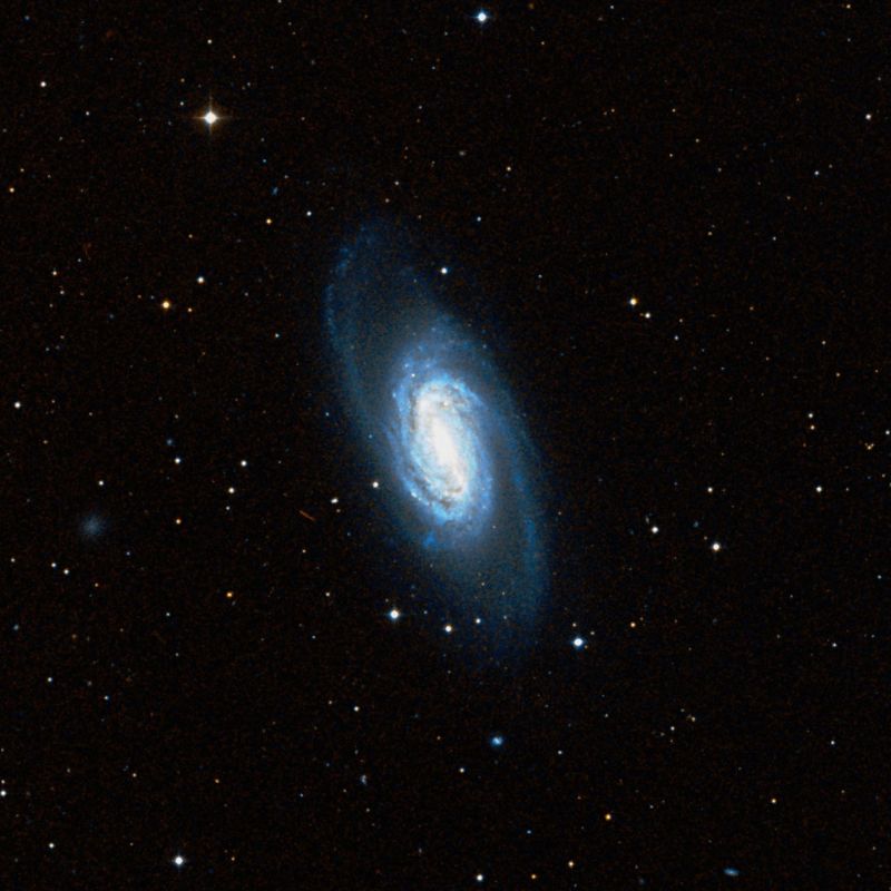 NGC 2905