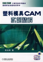 塑膠模具CAM實例精解（附光碟）