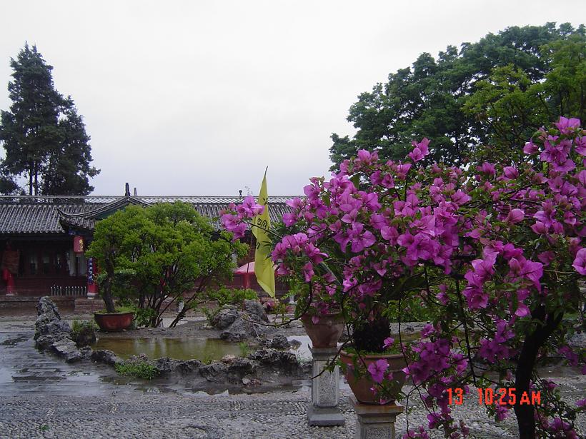 台江古生物化石博物館