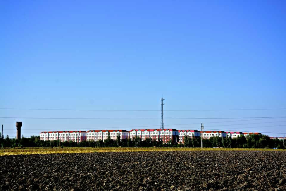 場部南部的田地和場部遠景