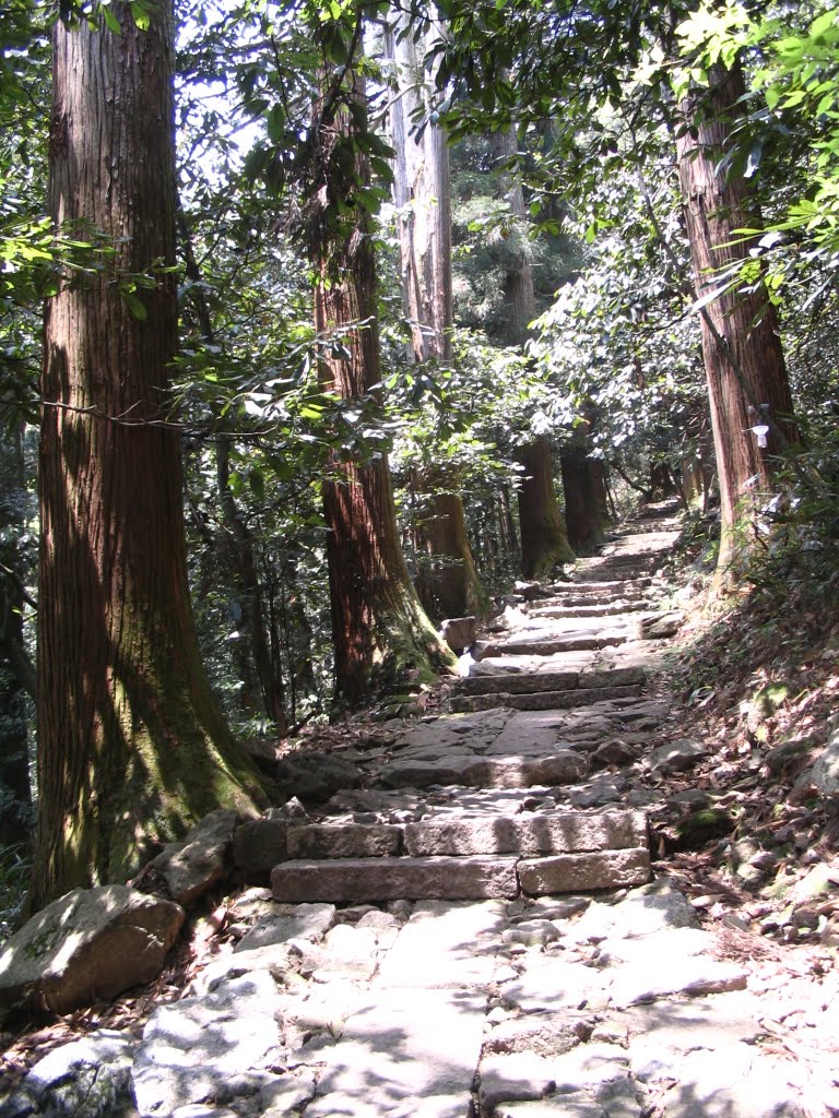 浙江天目山國家級自然保護區