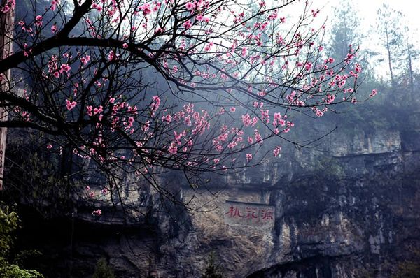 湖南桃花源國家森林公園