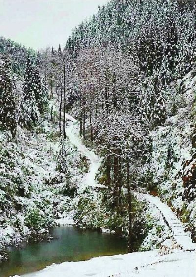 下祝鄉雪景-圖片來自網路