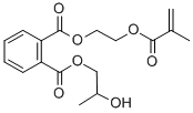 2-羥基丙基-1,2-苯二甲酸-2-[（2-甲基-1-氧代-2-丙烯基）氧基]乙基酯