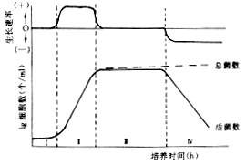 微生物生長曲線