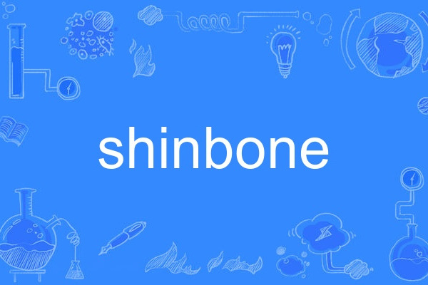 shinbone