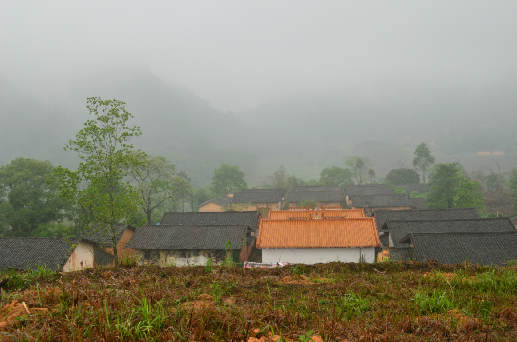 圍頂村