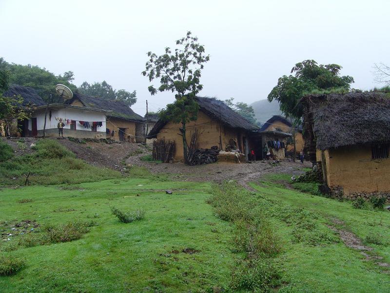 金坪自然村(永善縣溪洛渡鎮明子村下轄自然村)