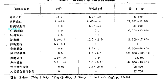 圖1 卵蛋白主要蛋白質