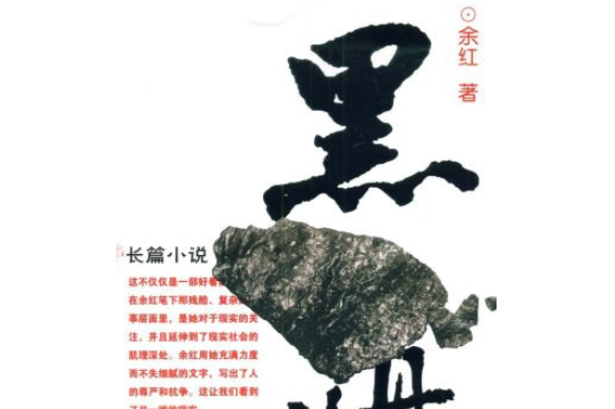 黑煤(2008年湖南文藝出版社出版的圖書)