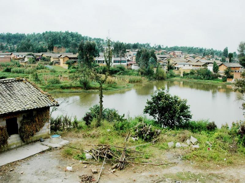 大金馬村