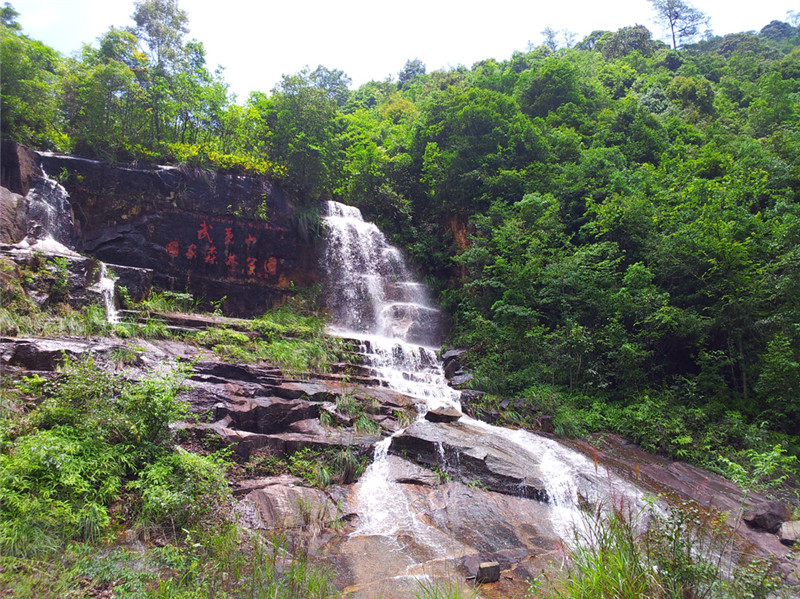 福建武夷山國家森林公園